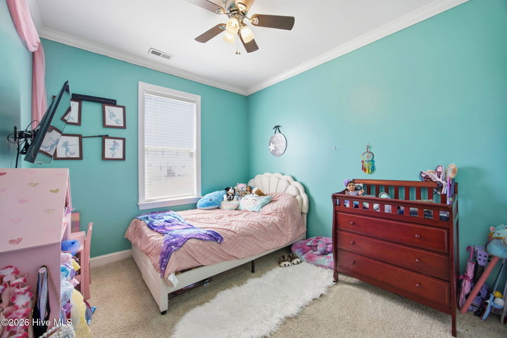2752 Barefoot Lane, Winterville, NC 28590 — photo 19