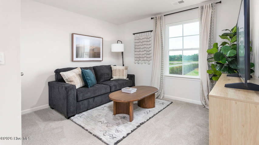 4806 Martha Wynd Way, Farmville, NC 27828 — photo 15