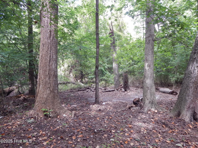 112 Ridge Place, Greenville, NC 27834 — photo 34