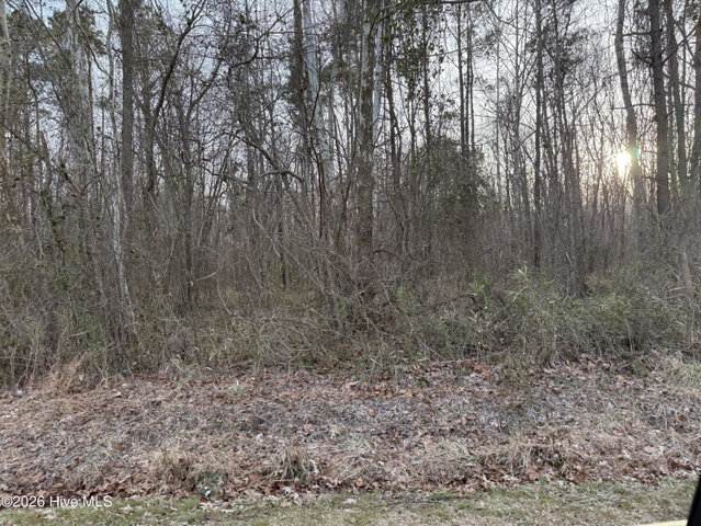 Lot 14 14 Beasley Road, Roper, NC 27970 — photo 2