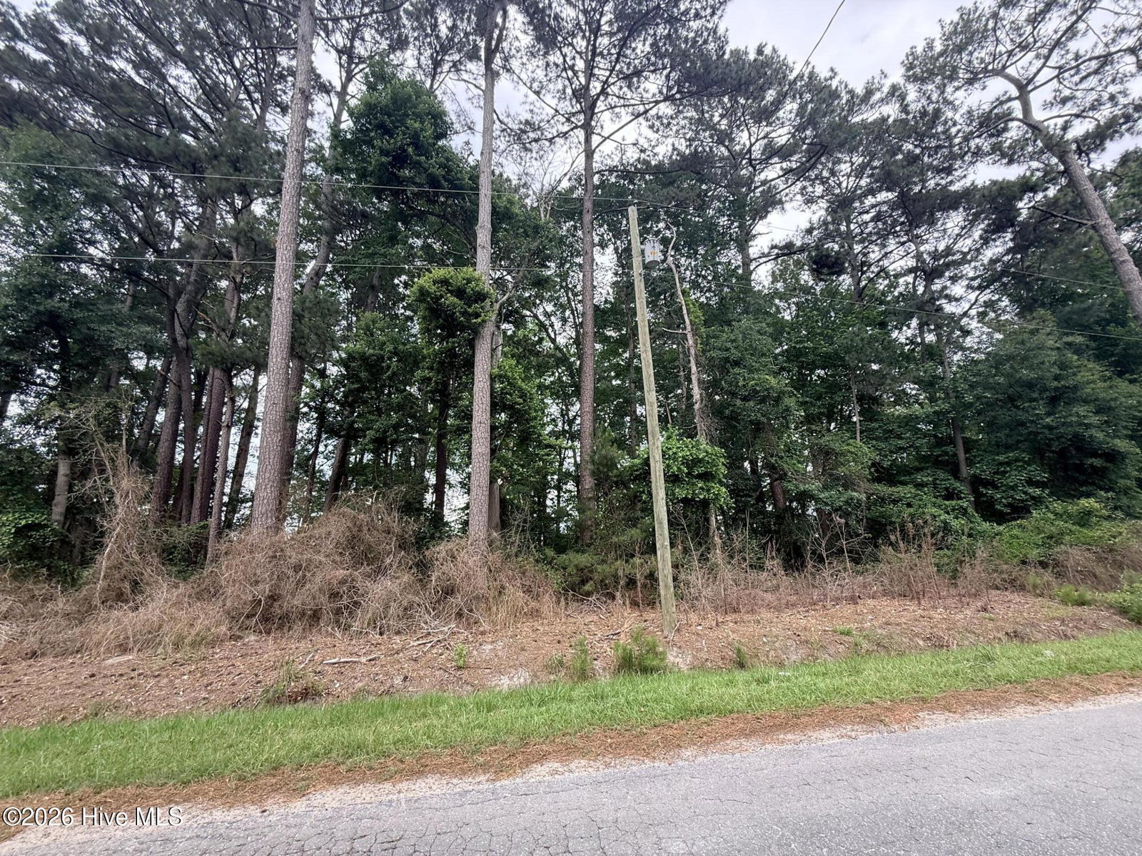 0 3, 4, 5, 6 Idlewild Drive, Greenville, NC 27834 — photo 2