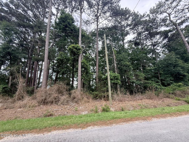 0 3, 4, 5, 6 Idlewild Drive, Greenville, NC 27834 — photo 2