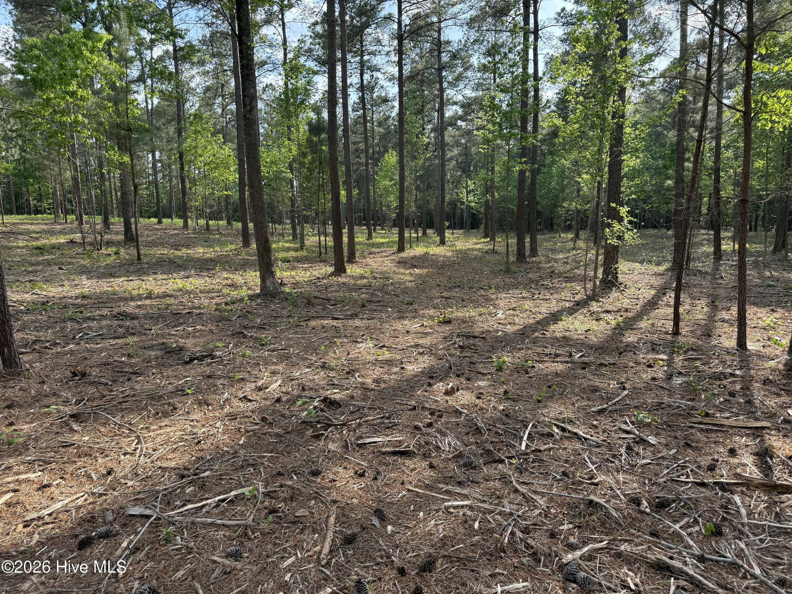 000 Tbd Lancaster Store Road Road, Spring Hope, NC 27882 — photo 5