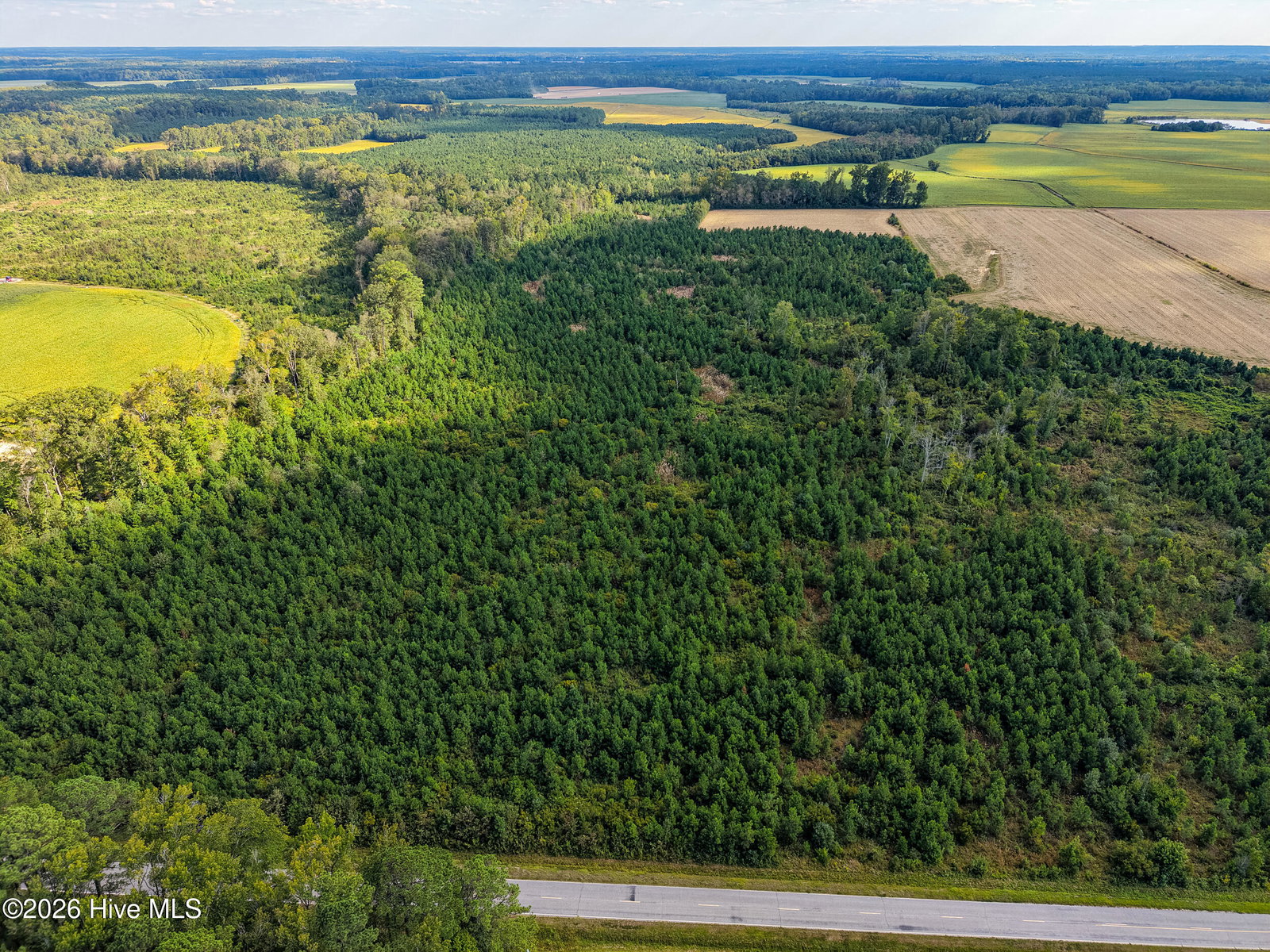 Tract 4 Bethlehem Church Road, Tarboro, NC 27886 — photo 4