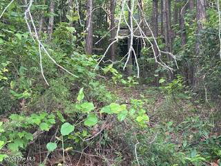 125 Mockingbird Lane, Hollister, NC 27844 — photo 2