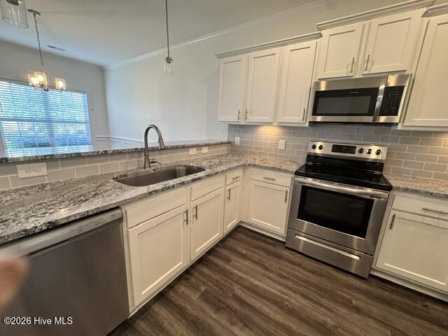 3404 B Richter Way, Greenville, NC 27834 — photo 10