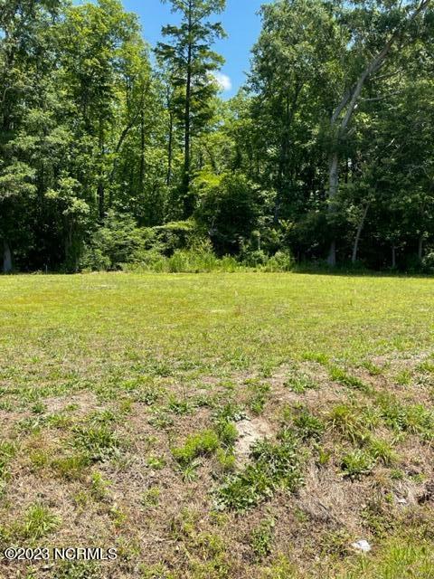 5153 Old Washington Road, Washington, NC 27889 — photo 4