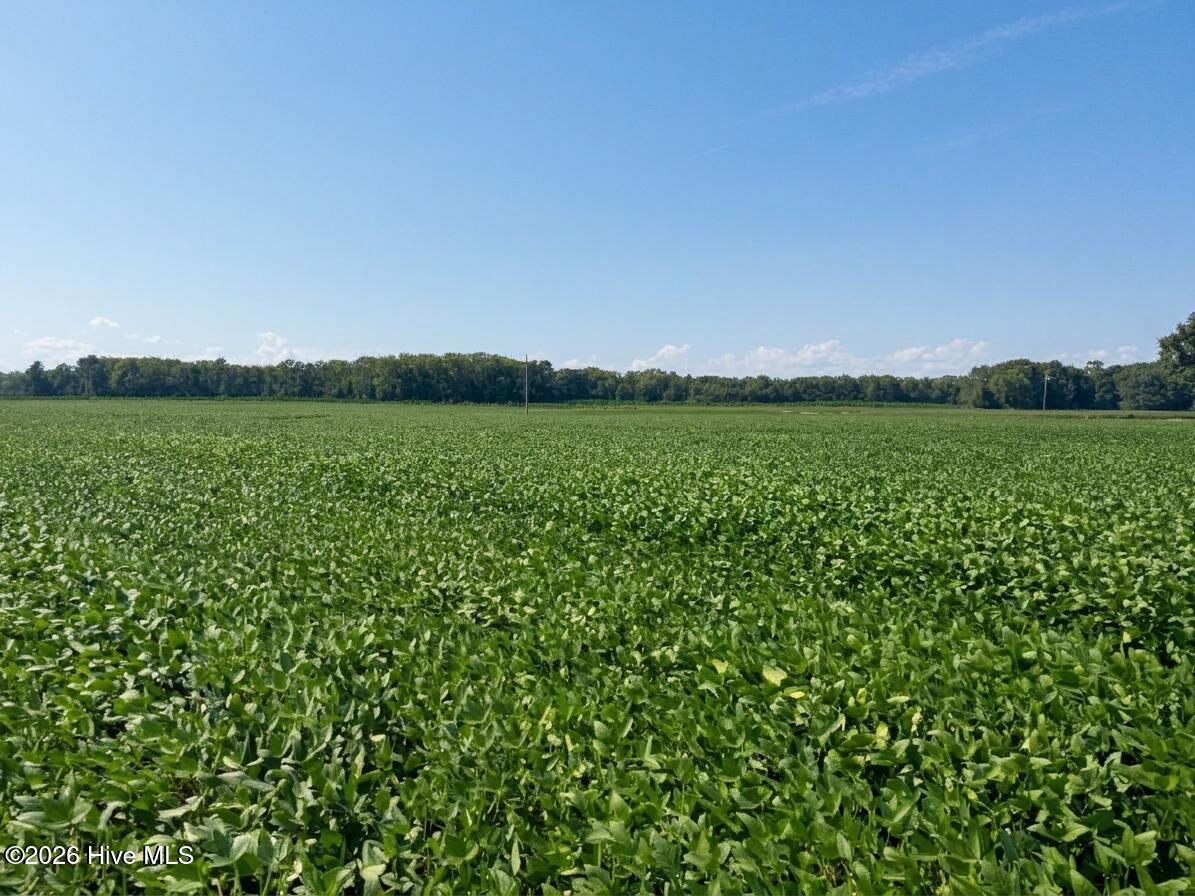 Lot 3 Red Oak Battleboro Road, Battleboro, NC 27809 — photo 4