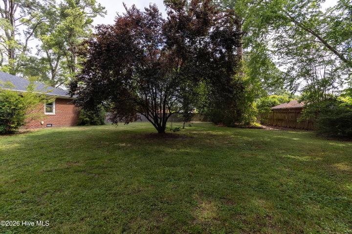 603 W Queen Street, Edenton, NC 27932 — photo 22