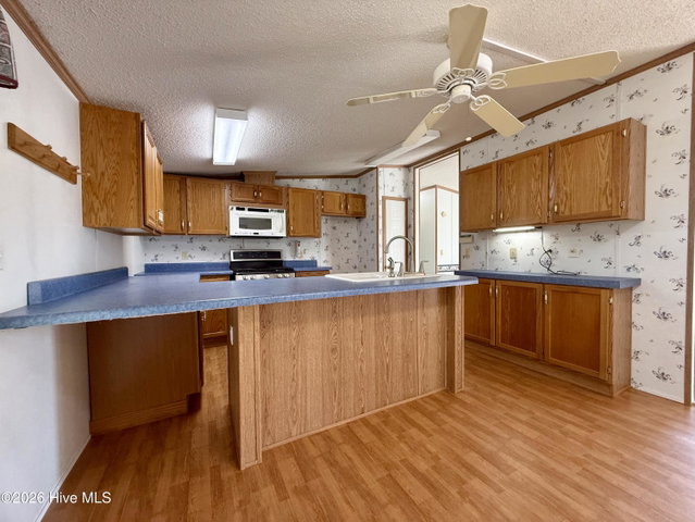 6484 Prison Camp Road, Williamston, NC 27892 — photo 28