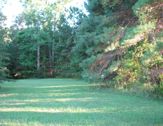 Lot 1 1 Summerby Road, Roper, NC 27970 — photo 8