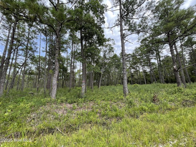 811 Brittany Road image