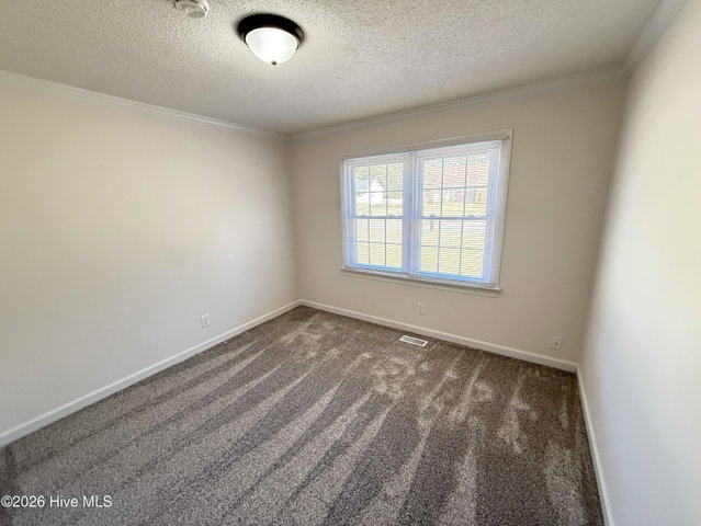 207 Avalon Lane, Greenville, NC 27858 — photo 19