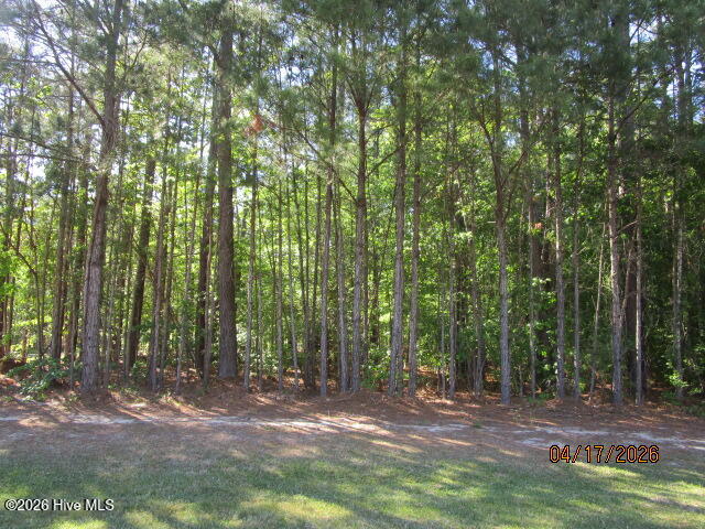47 47 Boshers Point Drive, Hertford, NC 27944 — photo 5