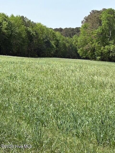 000 Leon Road, Nashville, NC 27856 — photo 3