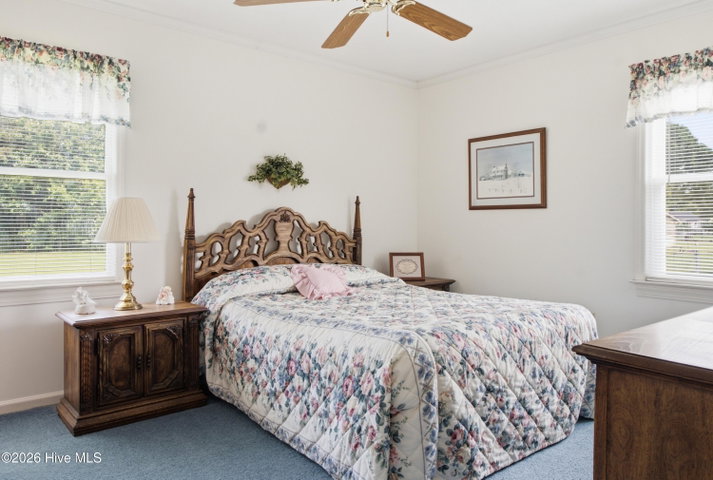 1538 Westmont Drive, Greenville, NC 27834 — photo 41