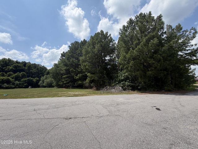 /1. N Wesleyan North Boulevard, Rocky Mount, NC 27804 — photo 2