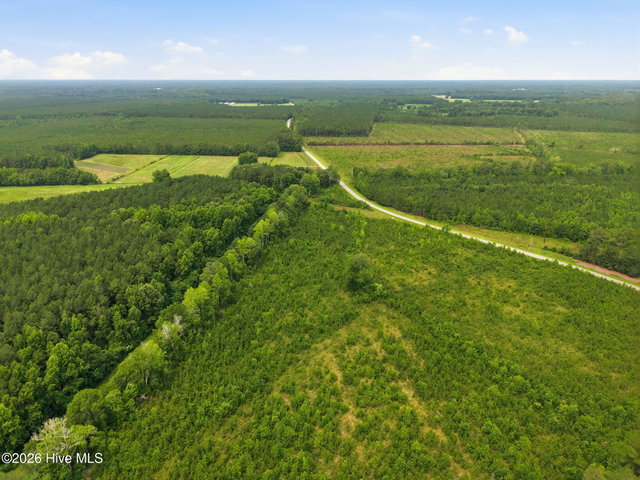 00 Gaskins Road, Grimesland, NC 27837 — photo 17