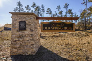 Lot 24 River Meadow Court, Spring Hope, NC 27882 — photo 3