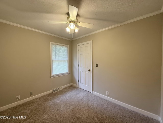 1191 Robin Lane, Jamesville, NC 27846 — photo 62