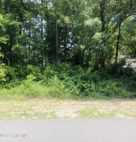 124 8 Bayshore Drive image