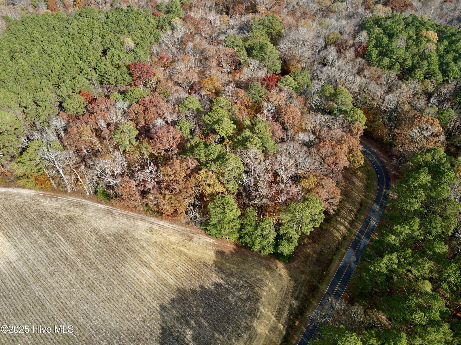 0 Williams Road, Williamston, NC 27892 — photo 5