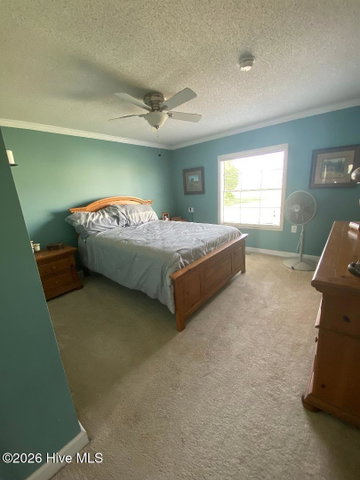 6740 Stantonsburg Road, Farmville, NC 27828 — photo 10