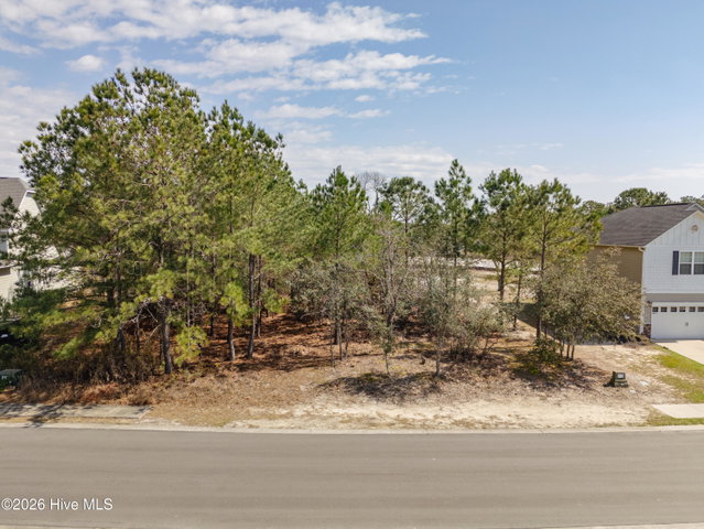 3059 61 Boverie Street SW image
