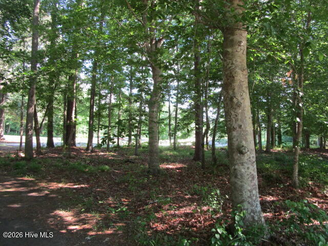 Lot 1 1 Roanoke Drive W, Hertford, NC 27944 — photo 3