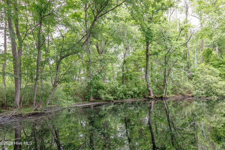 1866 Century Drive, Greenville, NC 27834 — photo 40