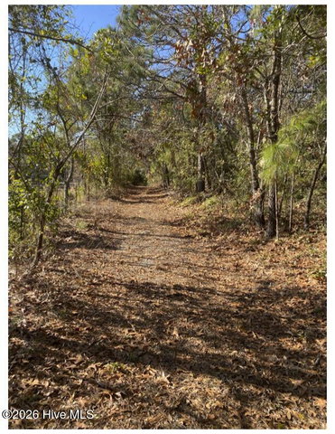 6511 Carolina Beach Road image