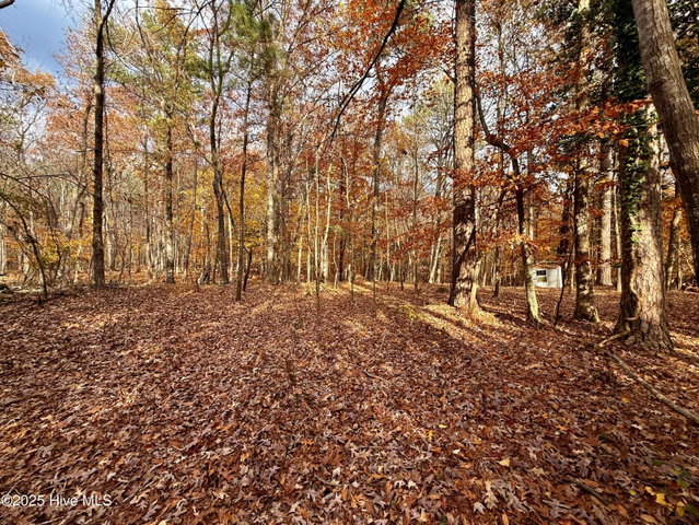 0 Williams Road, Williamston, NC 27892 — photo 14