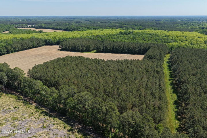0 Kirkman Road, Robersonville, NC 27871 — photo 17