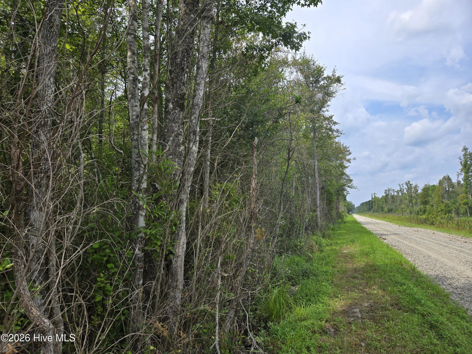0 Elementary School Road, Columbia, NC 27925 — photo 5