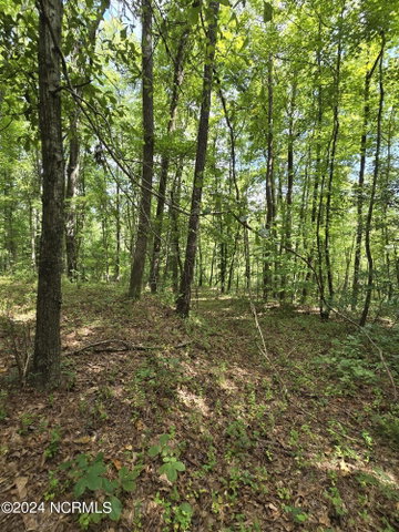 0 Mcnair Road, Plymouth, NC 27962 — photo 14