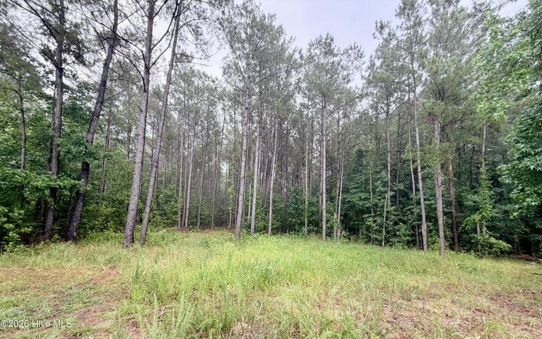 Tract F Us 421 Highway N image