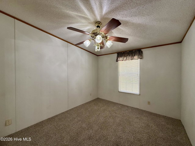 6484 Prison Camp Road, Williamston, NC 27892 — photo 50