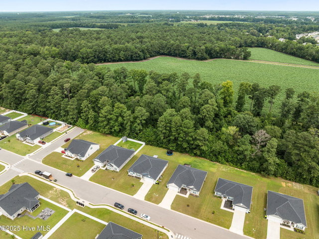 2653 Brittia Lane, Winterville, NC 28590 — photo 50