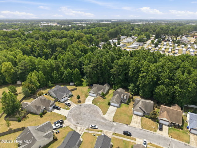 3172 Ruth Court, Greenville, NC 27834 — photo 46
