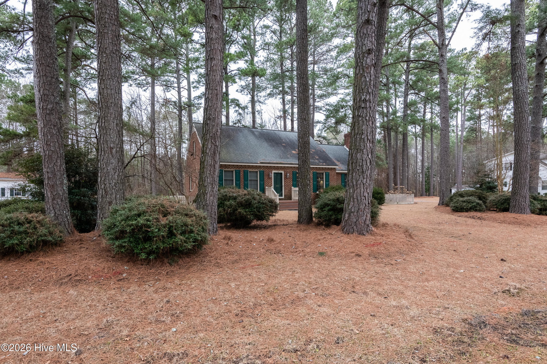 3793 Robinson Street, Bethel, NC 27812 — photo 4