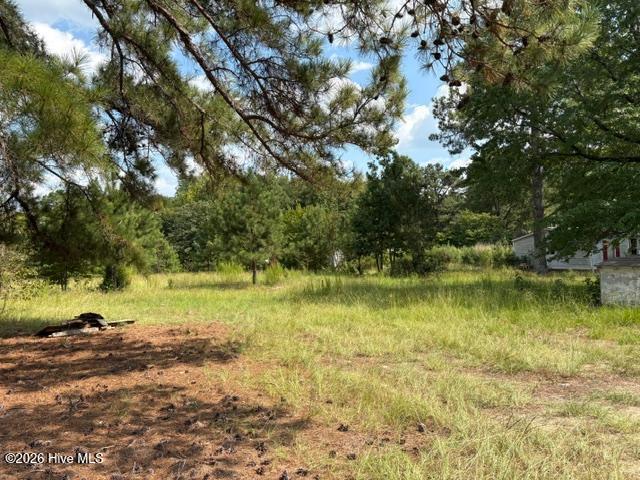 3832 11 Watson Seed Farm Road, Whitakers, NC 27891 — photo 2