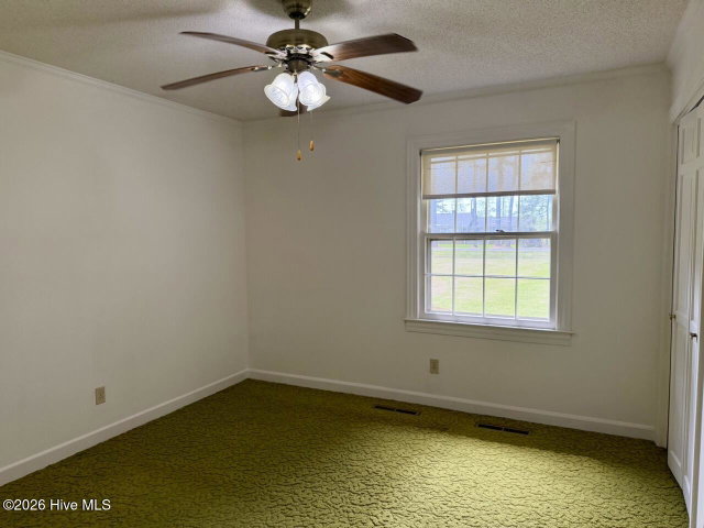 12445 U.S. 64, Williamston, NC 27892 — photo 20