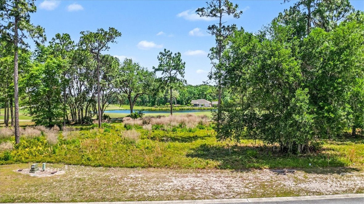 Lot 24 Blue Heron — photo 3