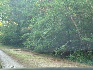 125 Mockingbird Lane, Hollister, NC 27844 — photo 4