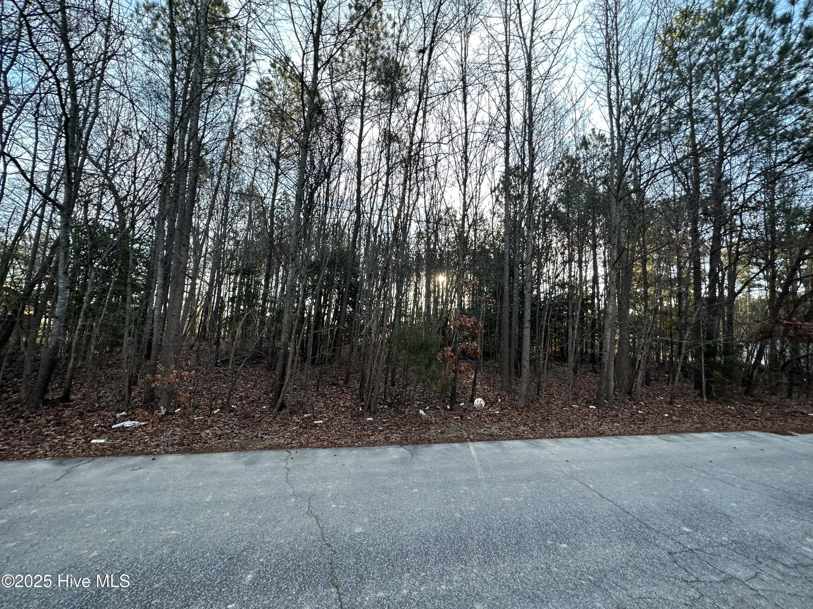 Tbd Pine Street, Conway, NC 27820 — photo 2