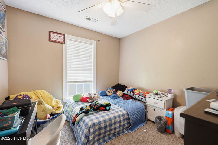 3726 Countryaire Drive, Ayden, NC 28513 — photo 12