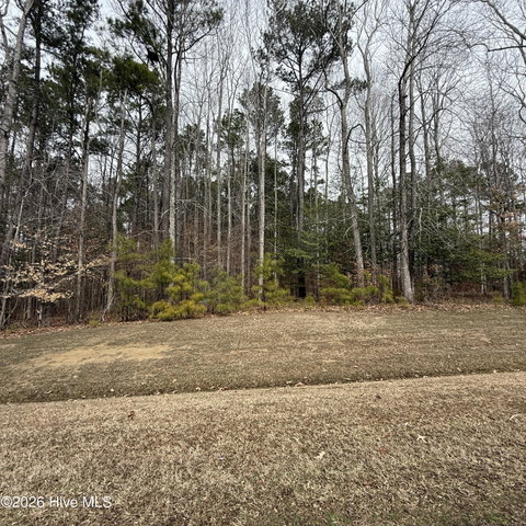 27 Suttons Landing Road, Hertford, NC 27944 — photo 2