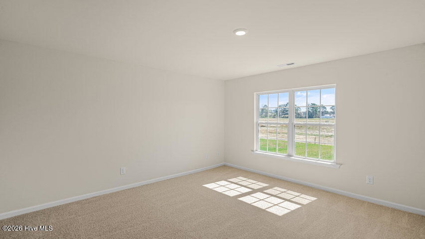 4816 Martha Wynd Way, Farmville, NC 27828 — photo 22