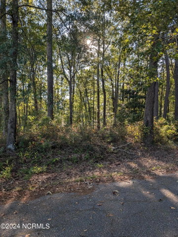5 5 Leggett Street, Robersonville, NC 27871