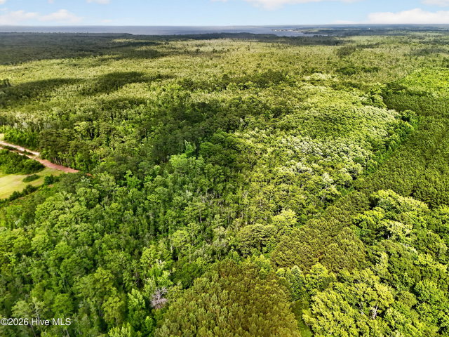 Tbd Pea Ridge Road, Roper, NC 27970 — photo 17